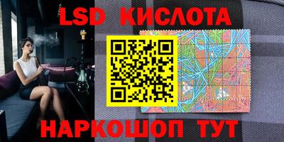 прущие грибы Бийск