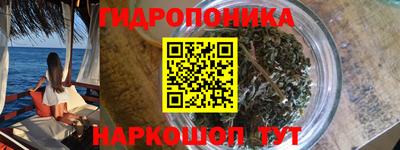прущие грибы Бийск